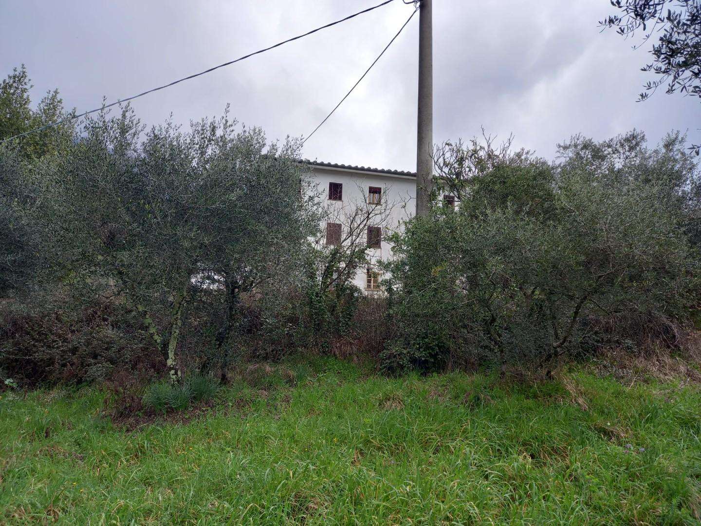 immagine annuncio 9 di 12