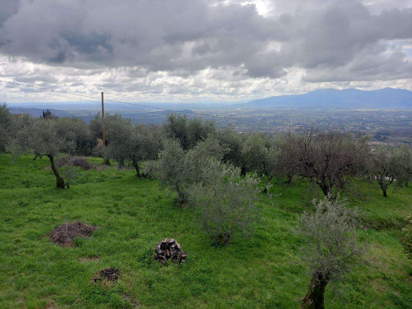 immagine annuncio 10 di 12