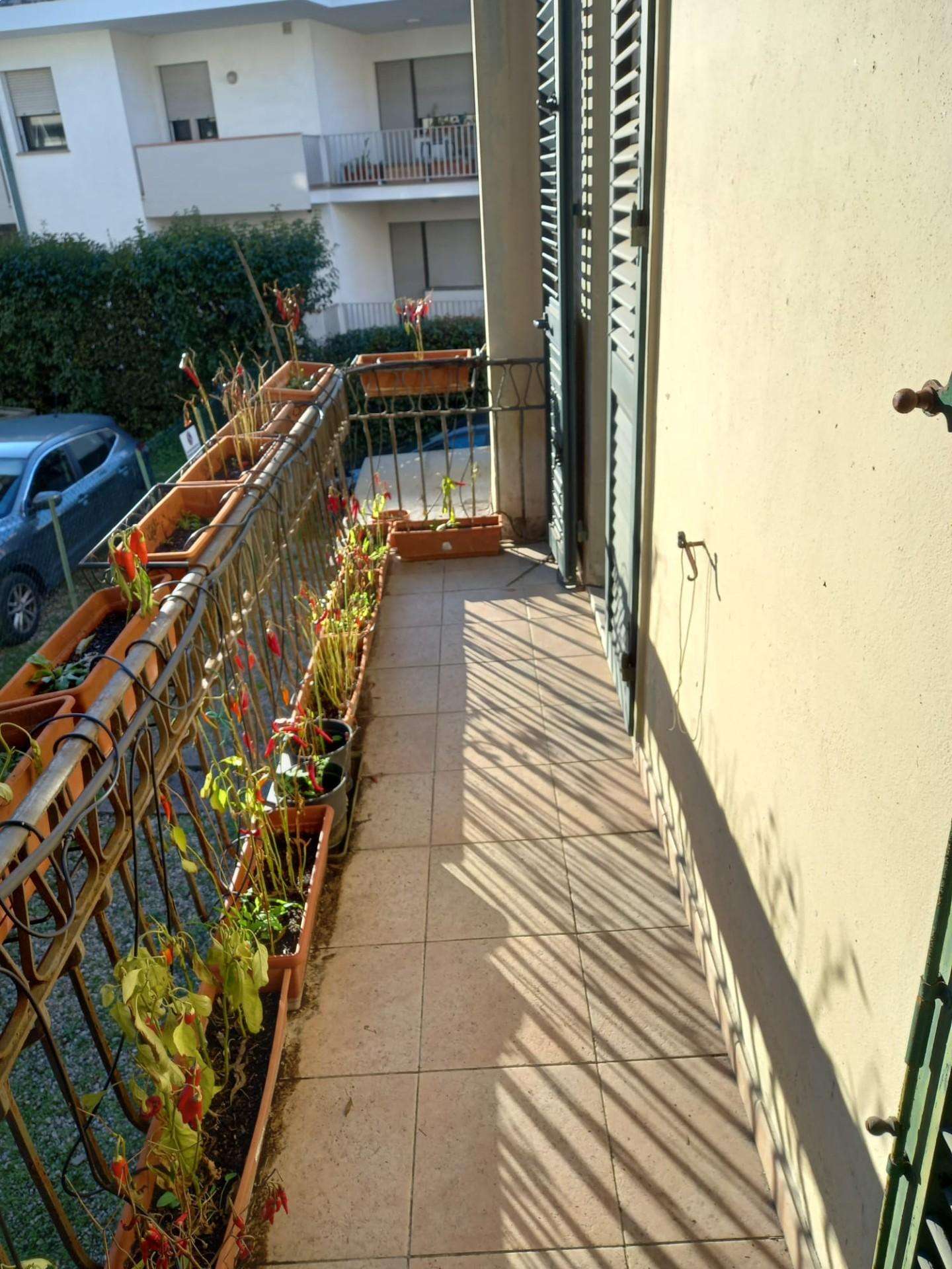  - foto 3