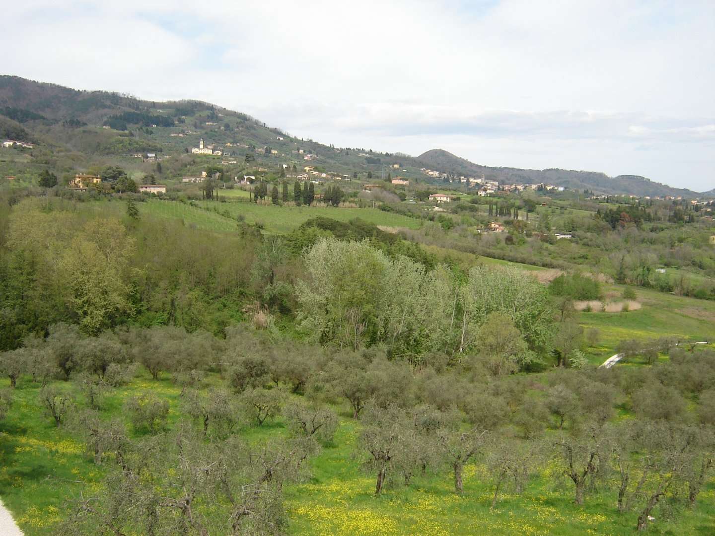 immagine annuncio 1 di 13