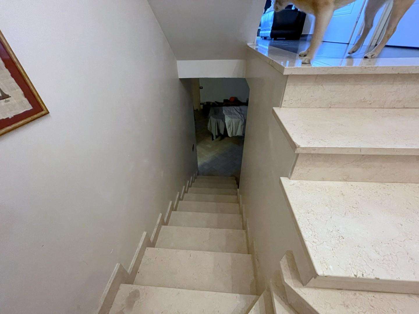  - foto 63