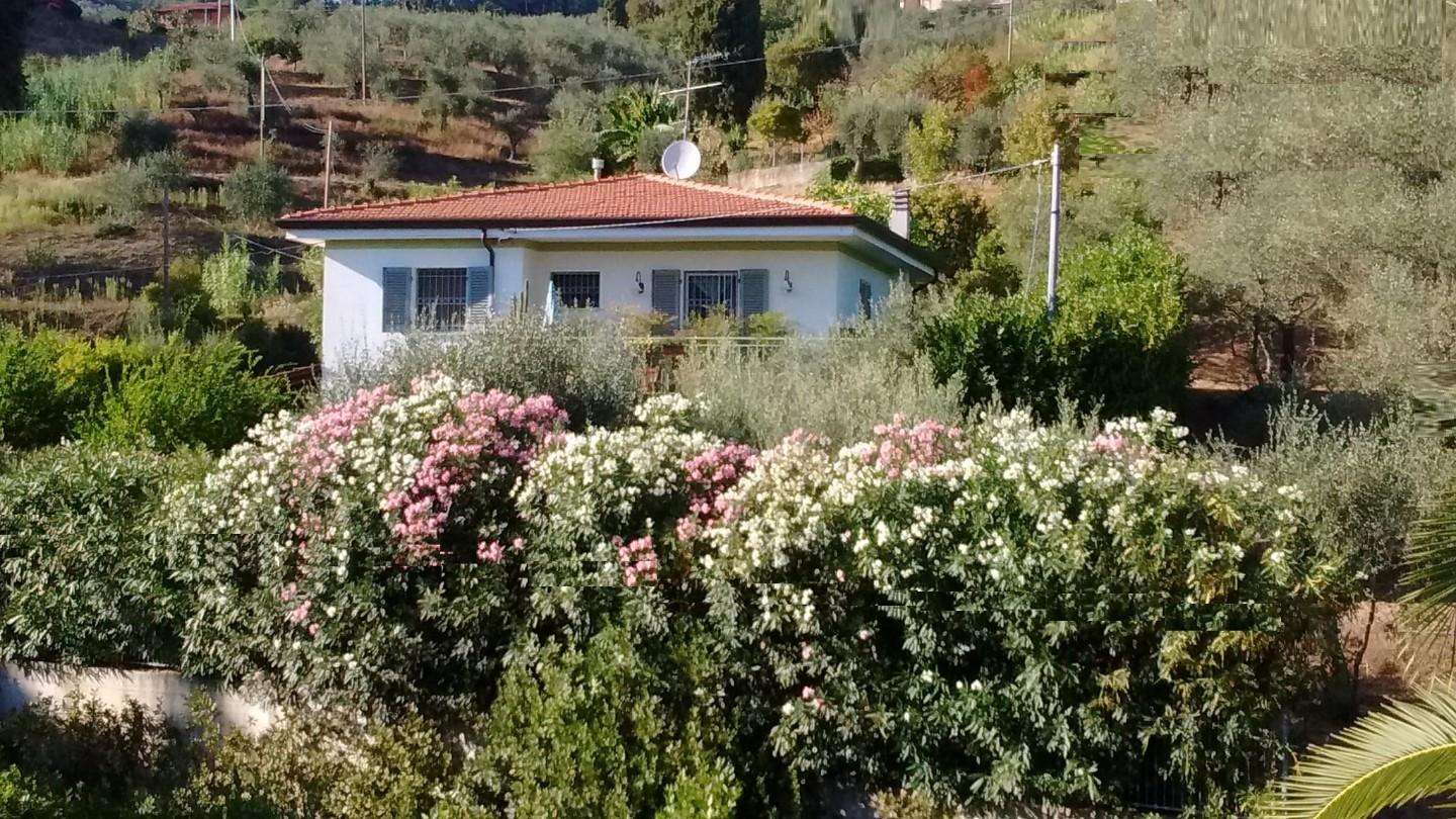 immagine annuncio 1 di 3