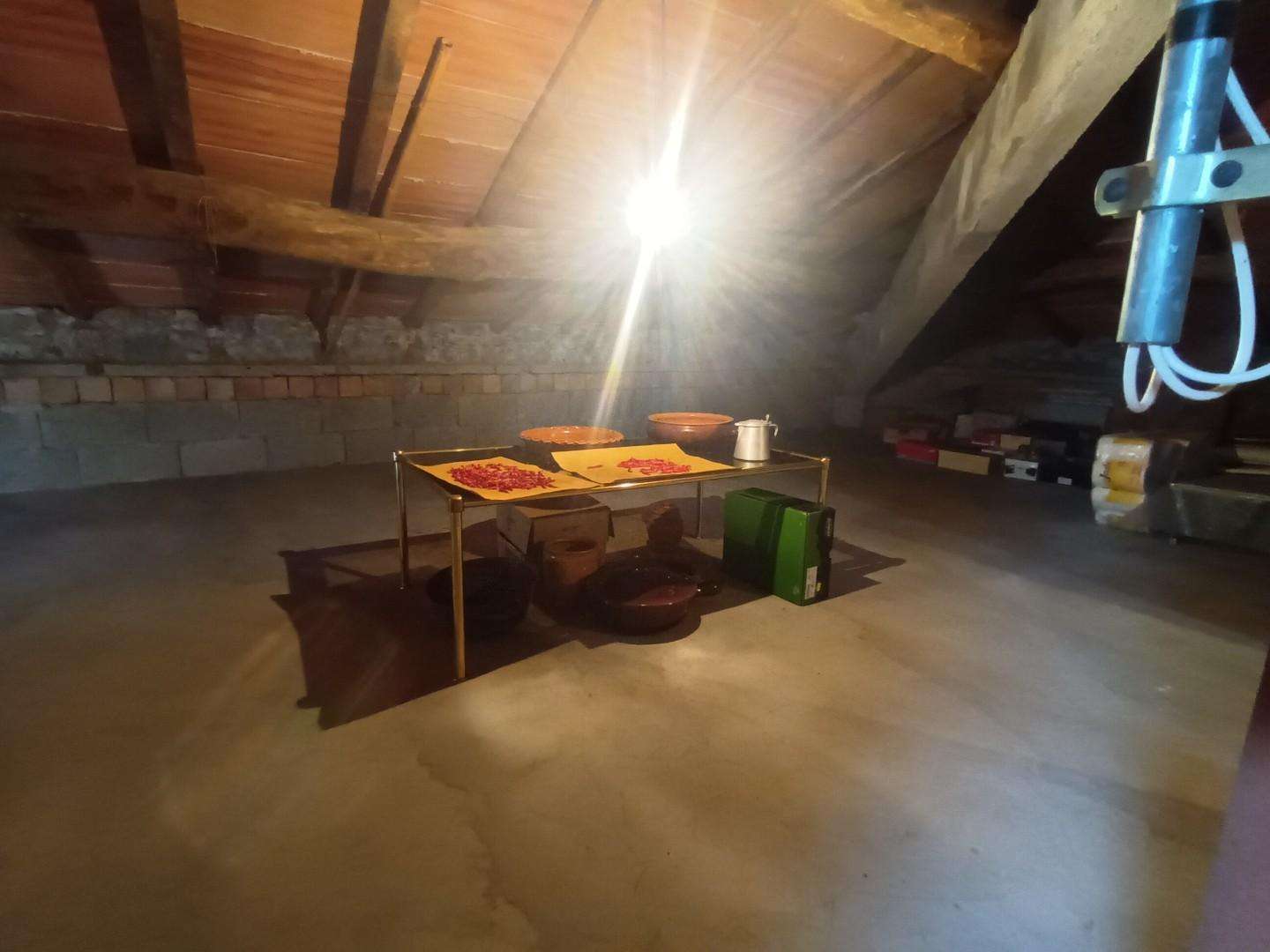  - foto 12