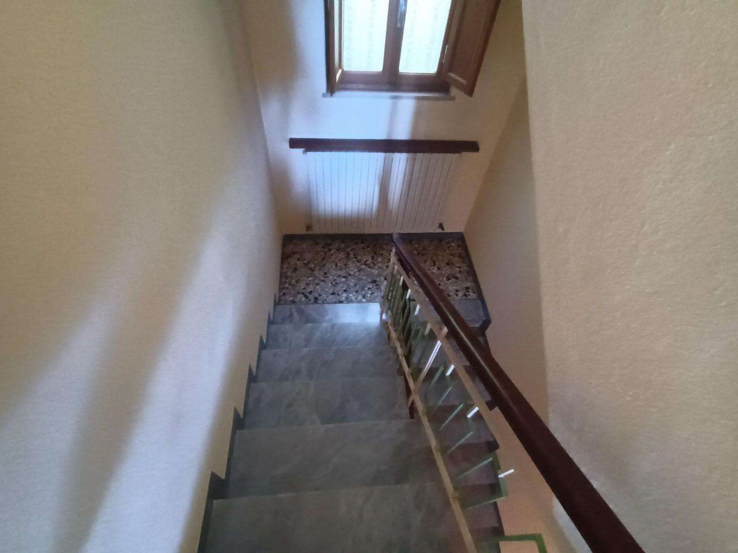  - foto 19