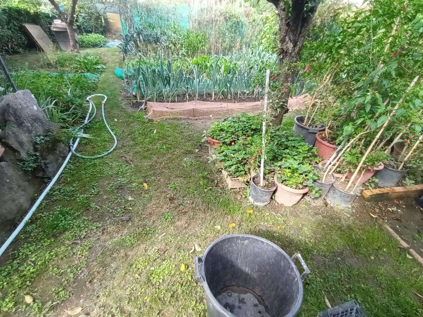 - foto 7