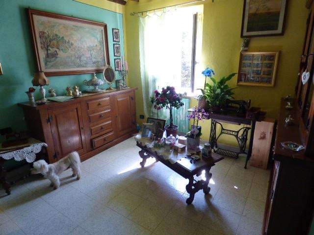  - foto 16