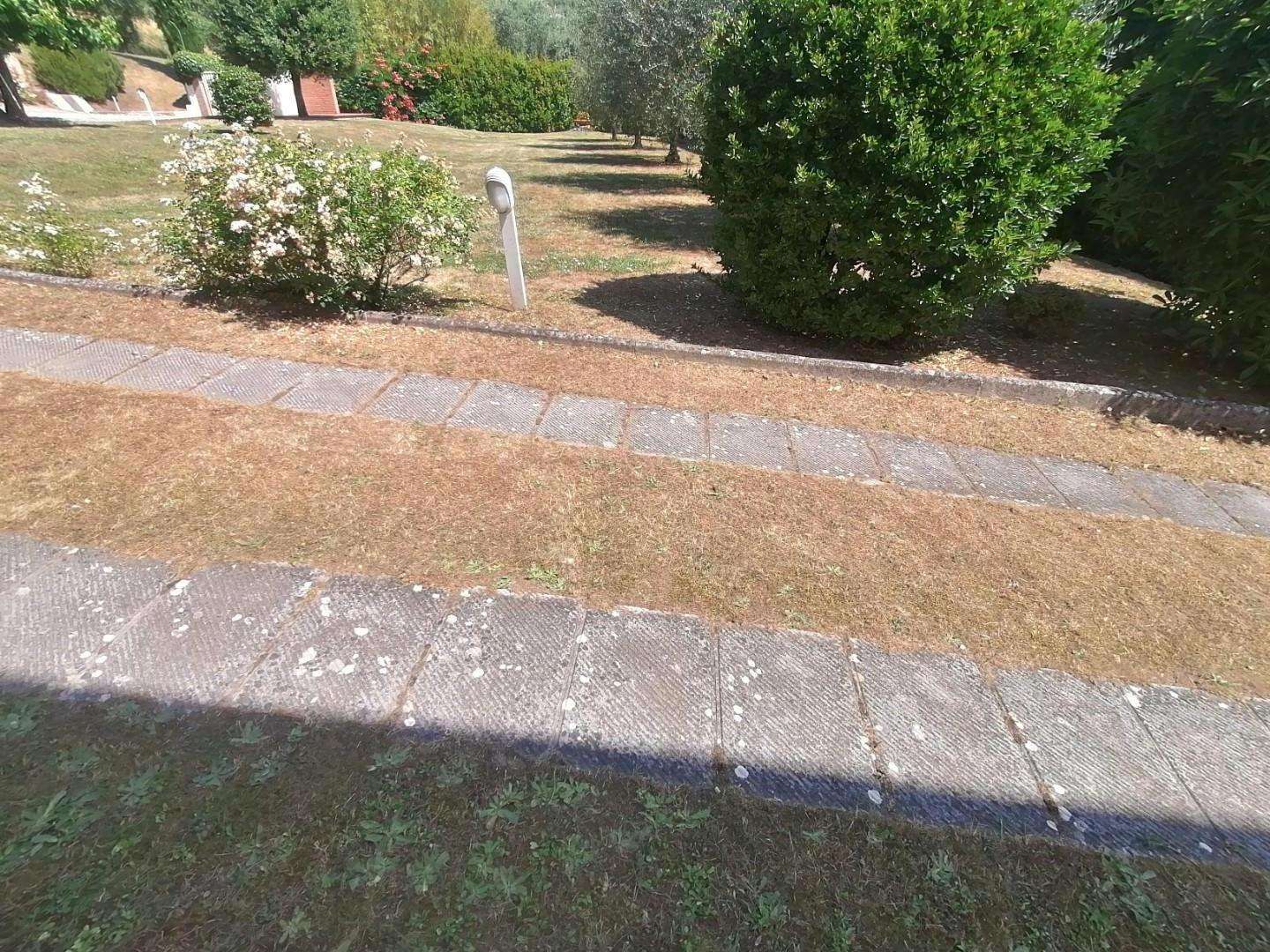  - foto 24