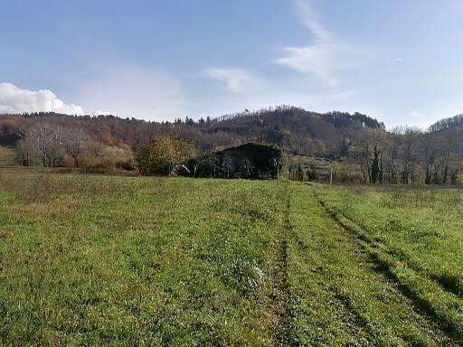 Azienda agricola Castelnuovo di Garfagnana LU,, Pieve Fosciana