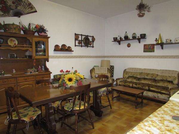  - foto 40