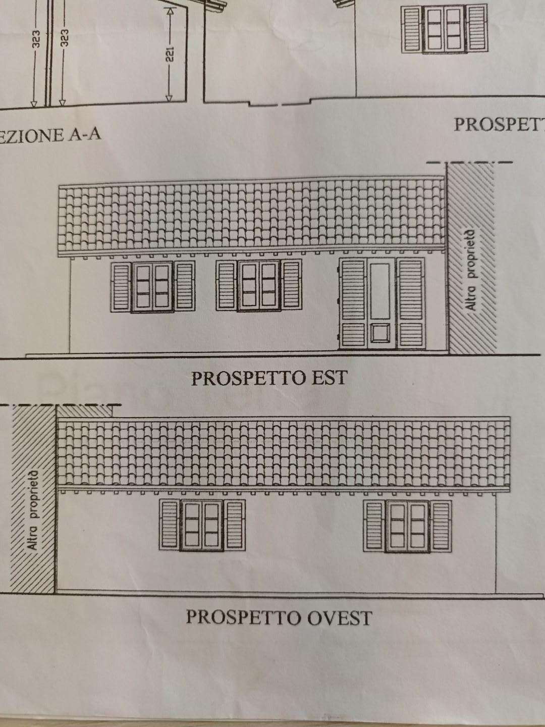 immagine annuncio 2 di 12