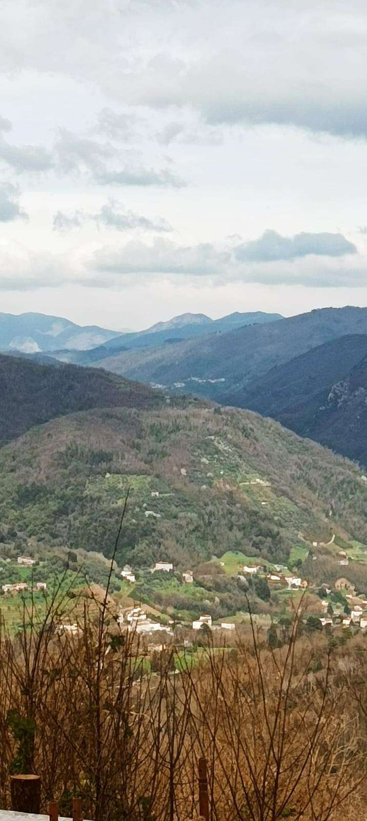  - foto 15