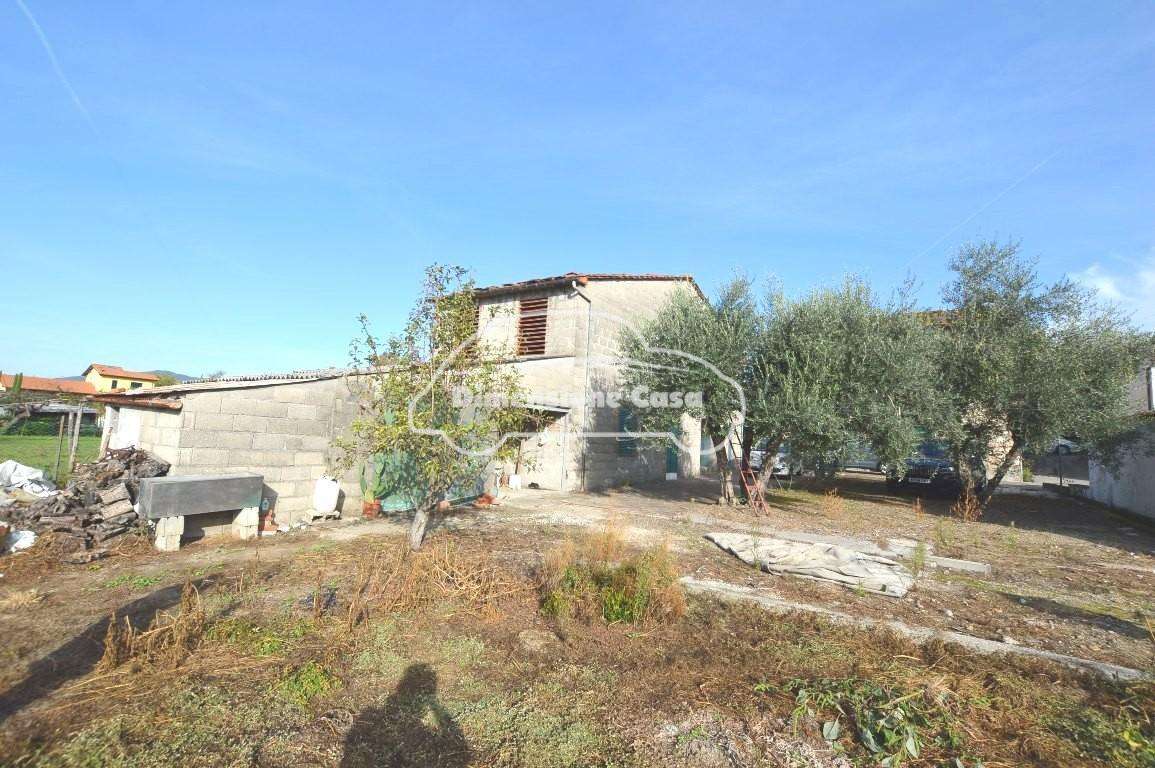 immagine annuncio 7 di 13