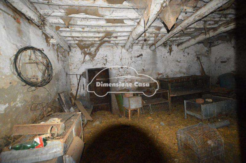  - foto 14