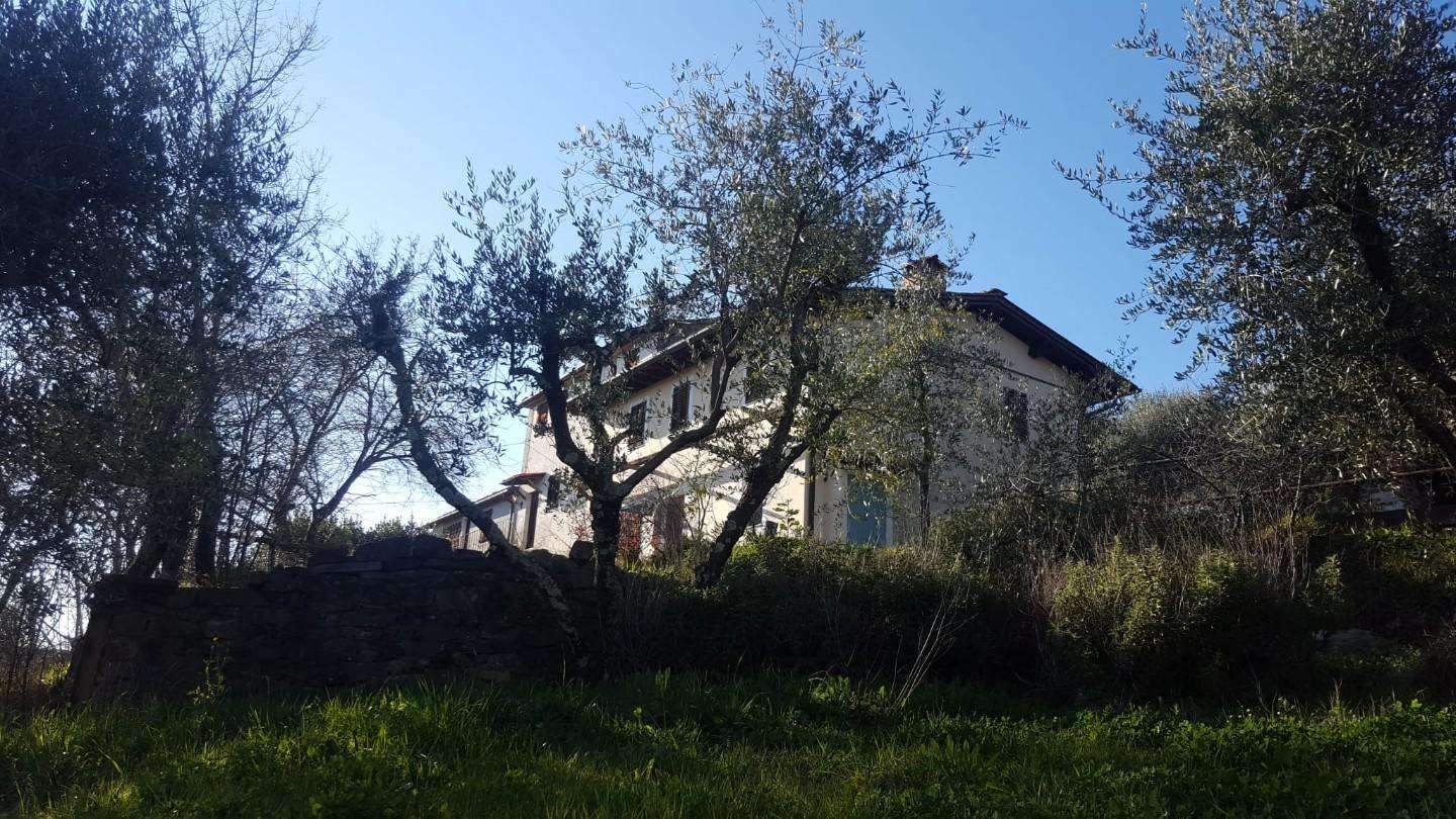  - foto 24