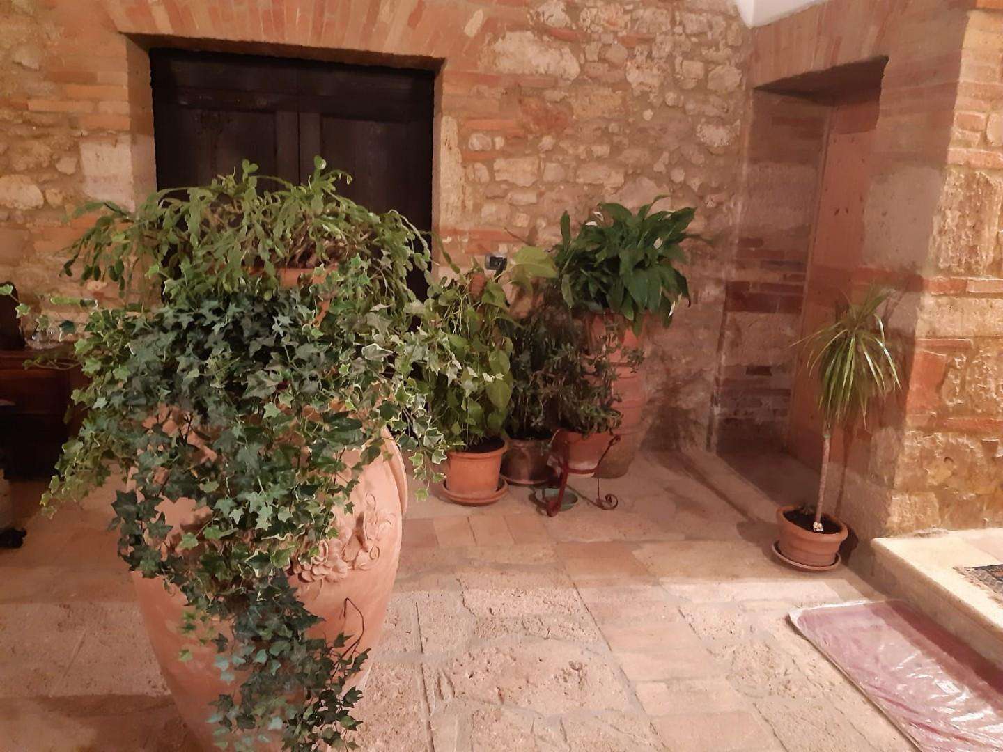  - foto 30