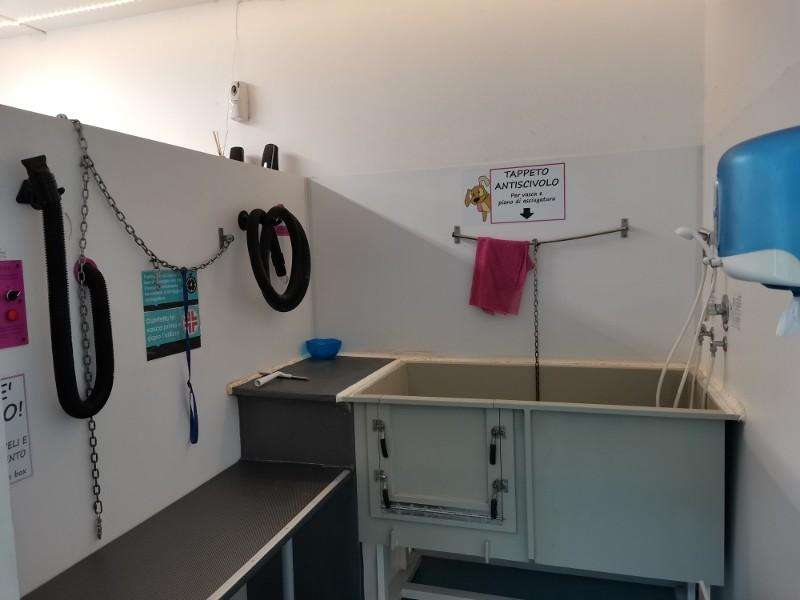 immagine annuncio 3 di 8