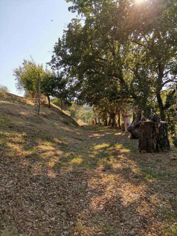  - foto 19