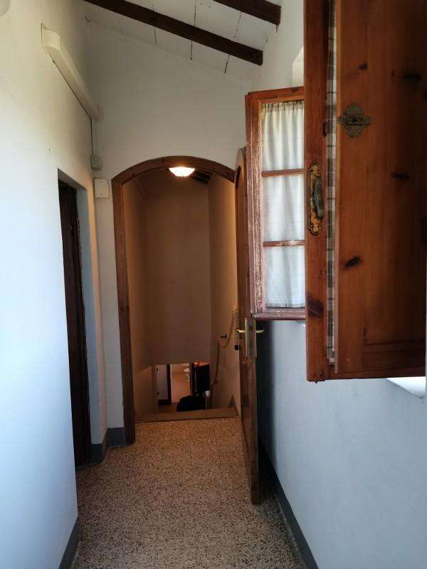  - foto 37