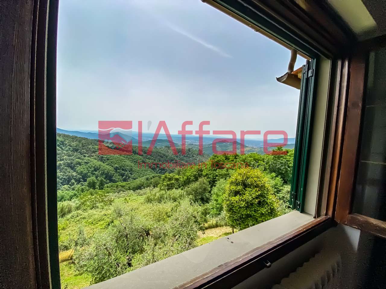  - foto 43