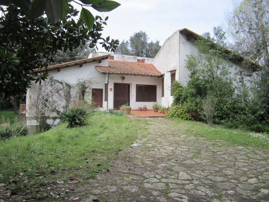 Villa in Vendita a Pisa Lungarno Gabriele D 'Annunzio,