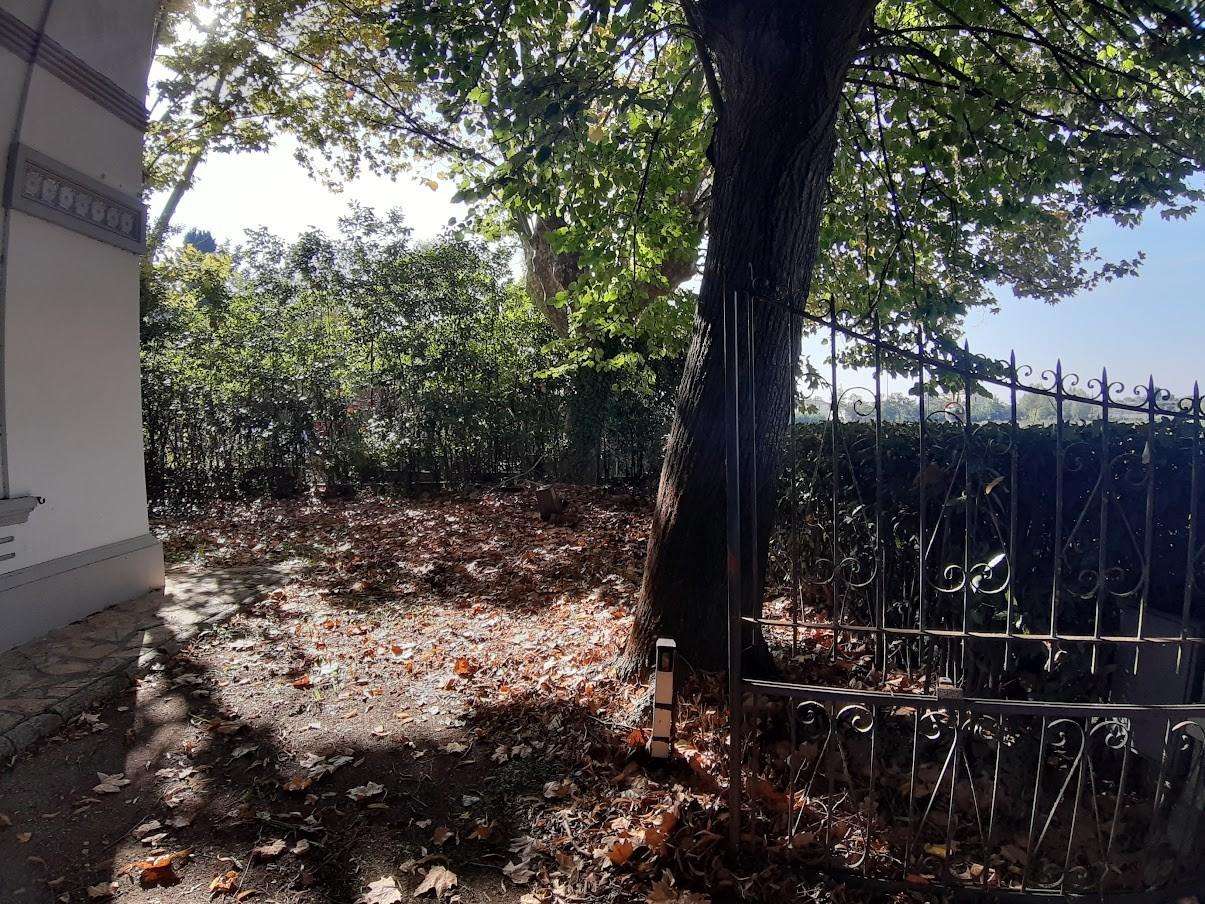  - foto 5
