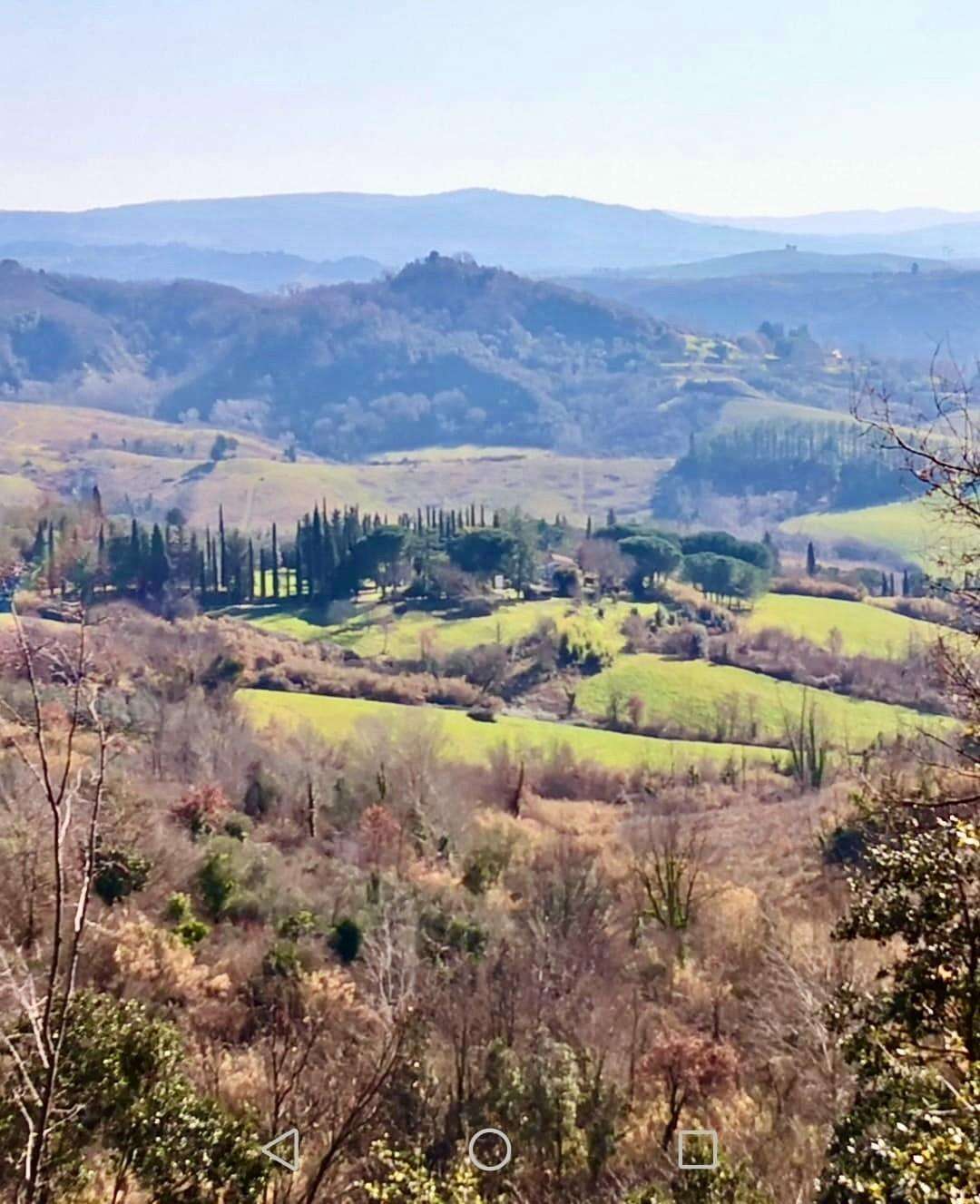  - foto 41