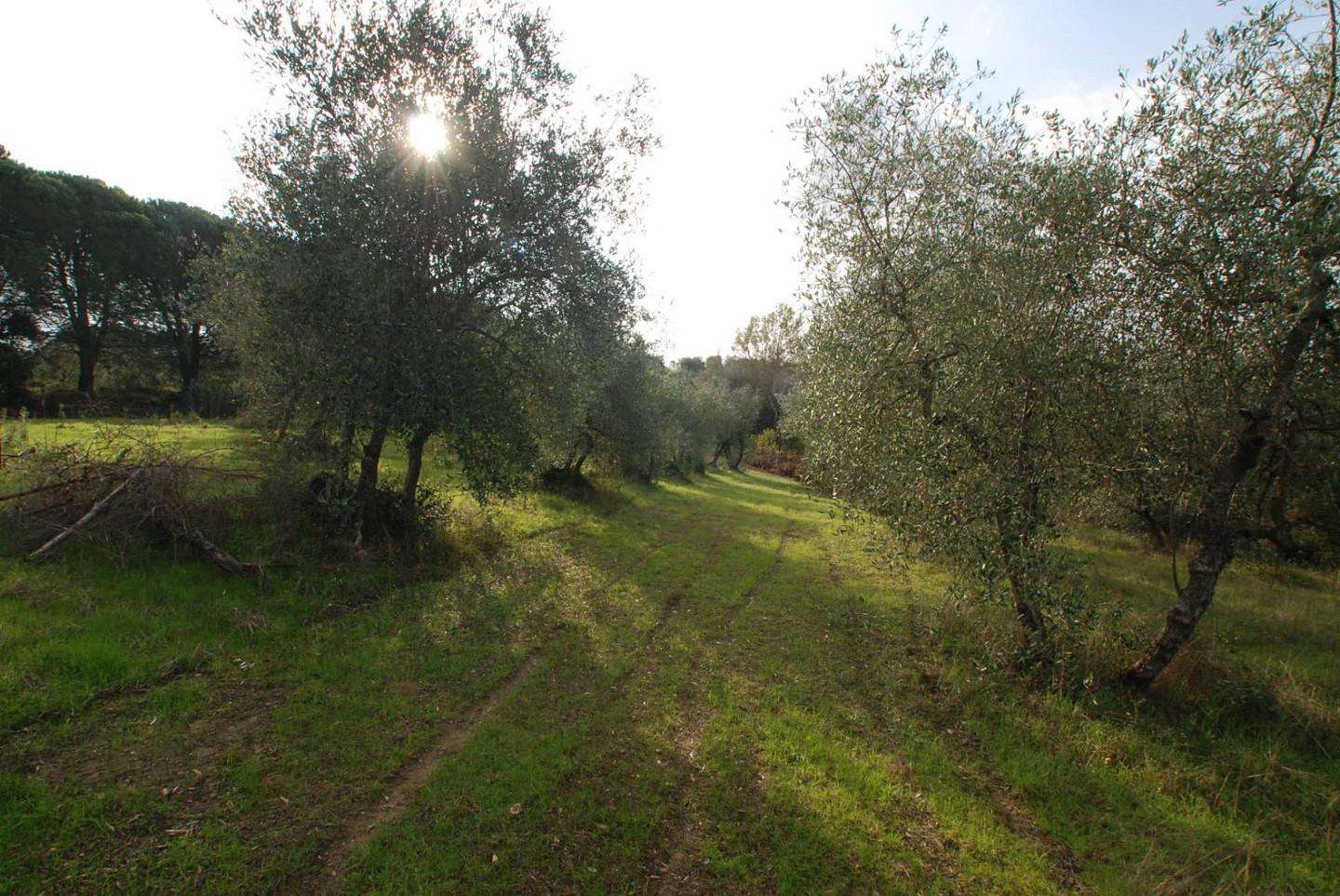 immagine annuncio 1 di 14