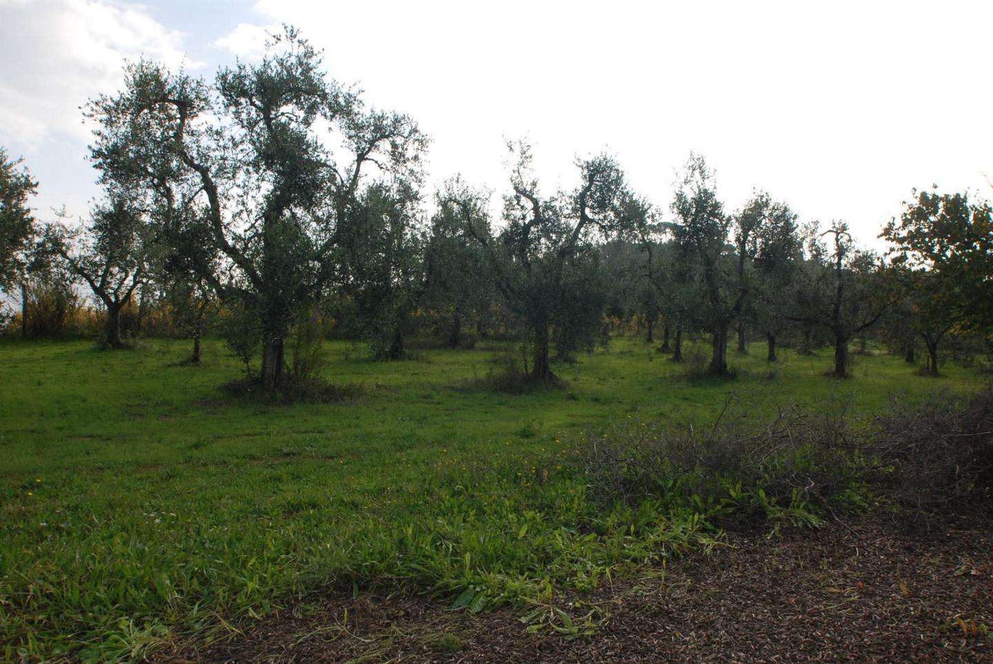 immagine annuncio 2 di 14