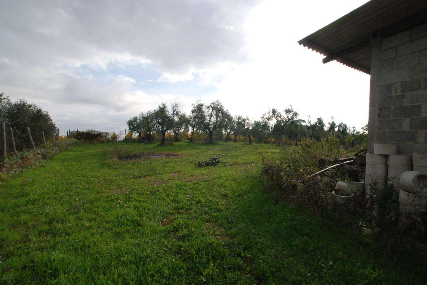 immagine annuncio 12 di 14