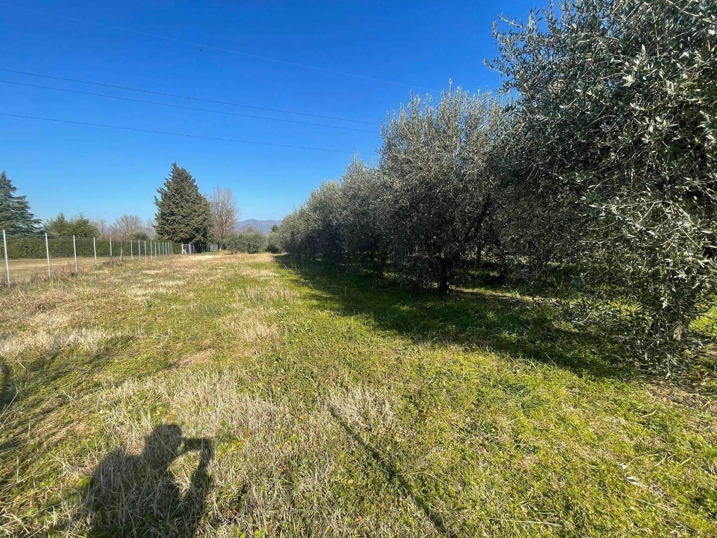 Terreno agricolo in Vendita a Capannori Via Mazzini,