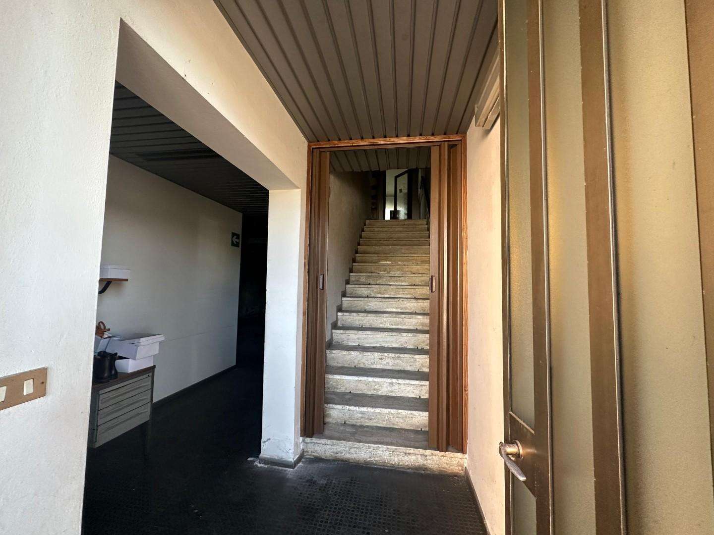  - foto 13