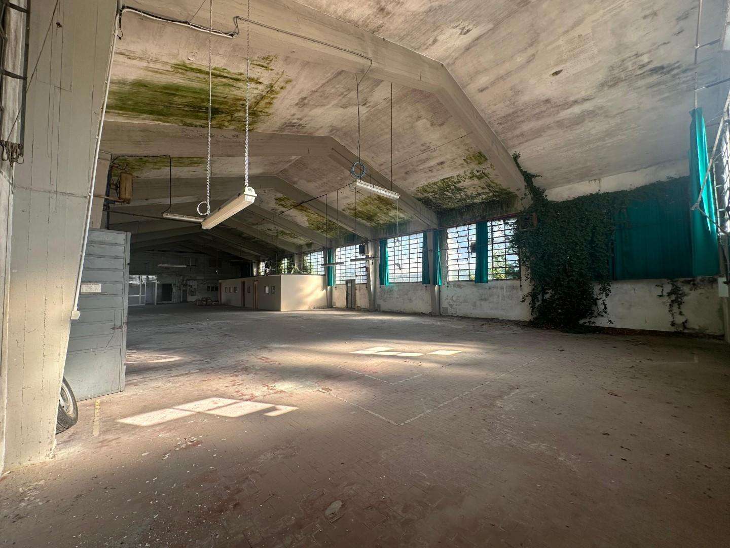  - foto 5