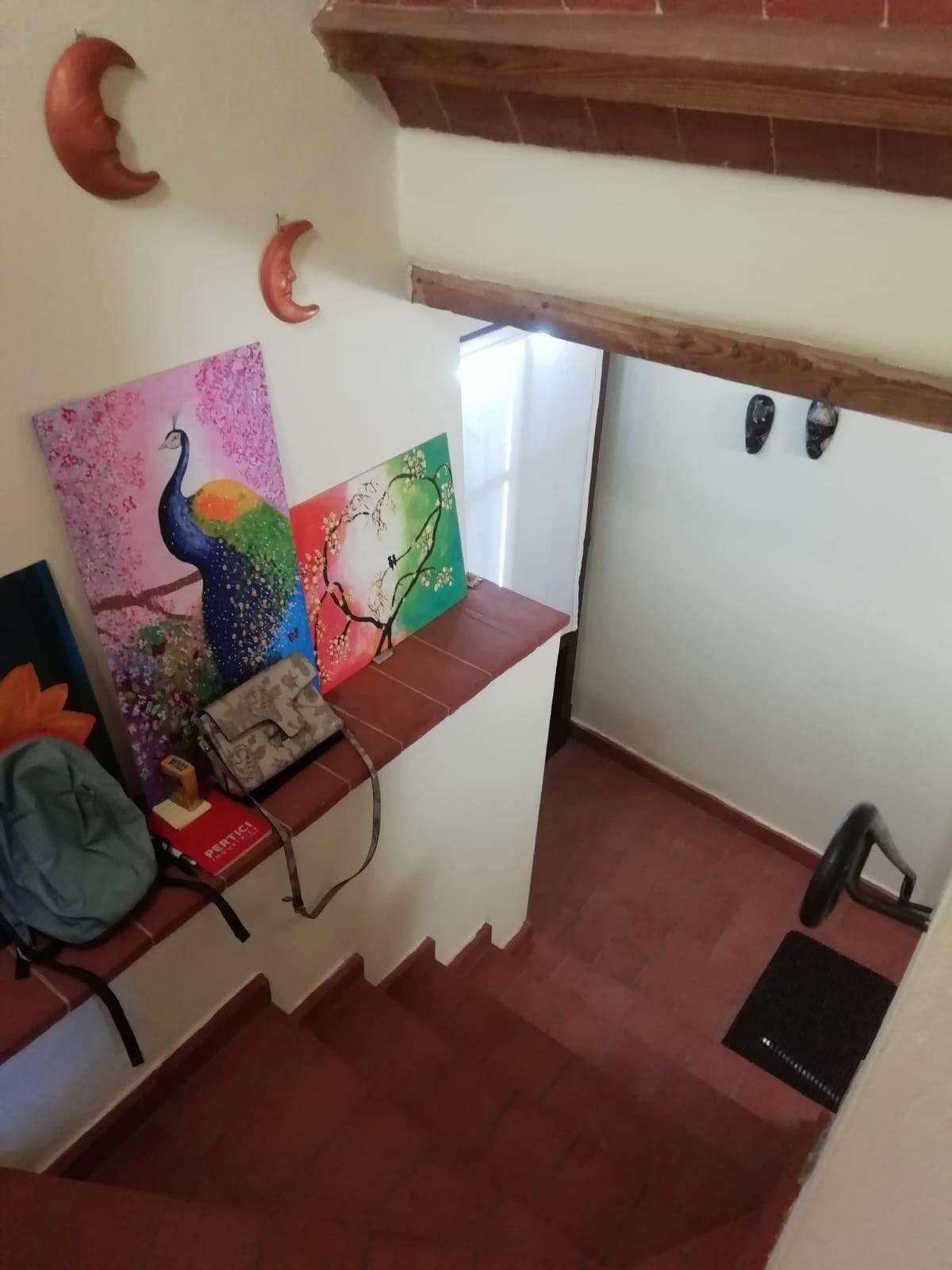  - foto 26