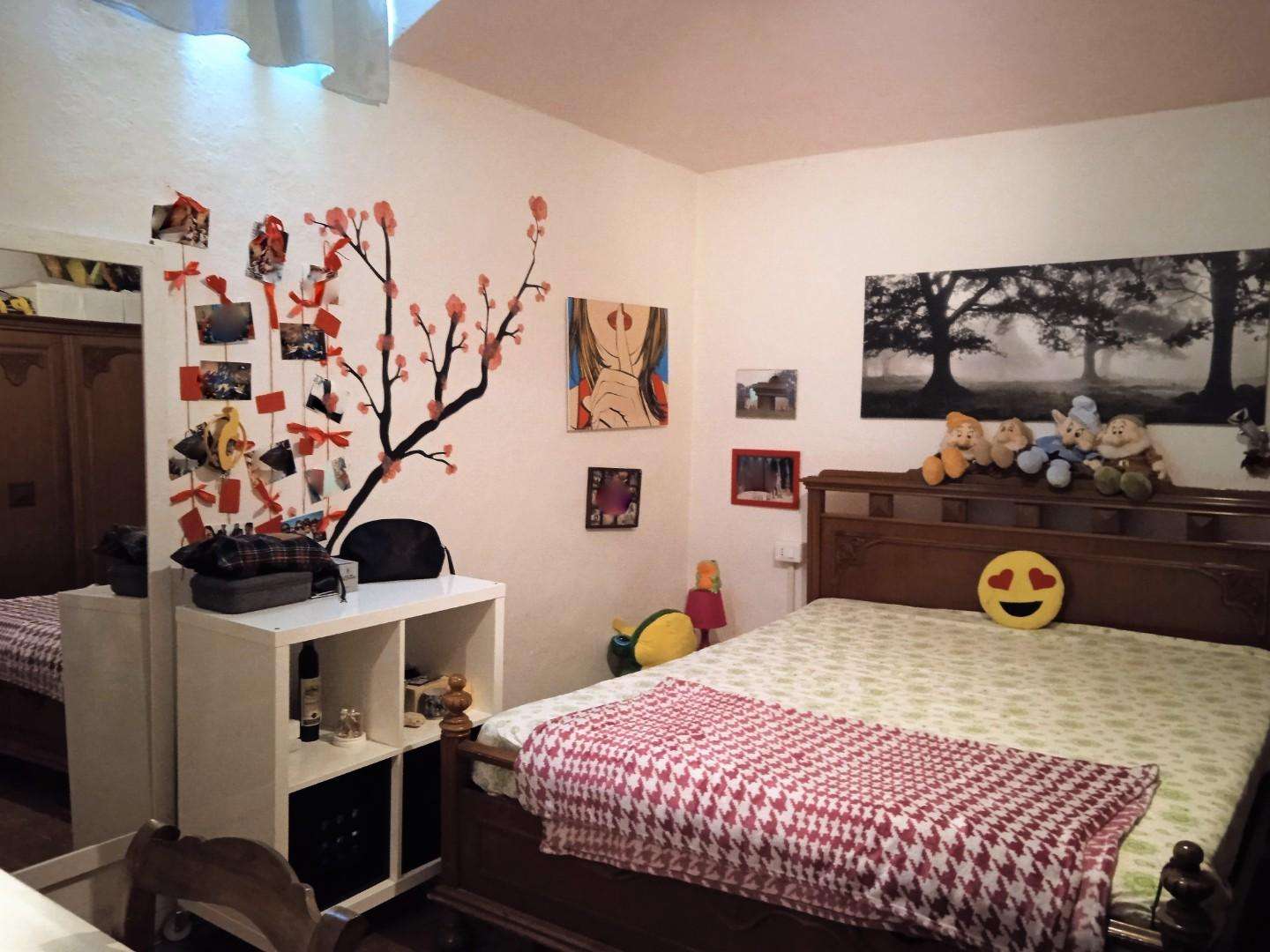  - foto 12