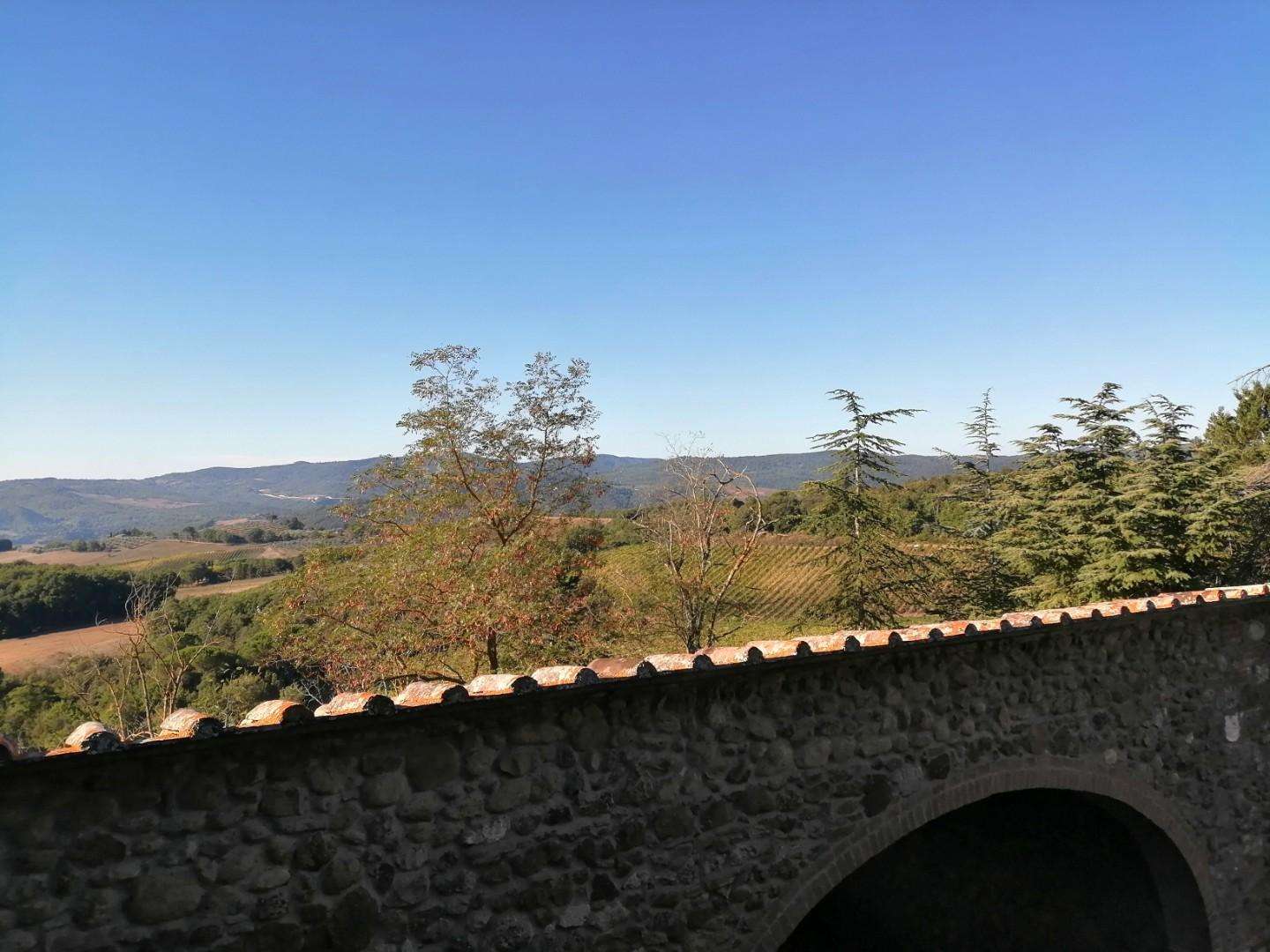  - foto 28