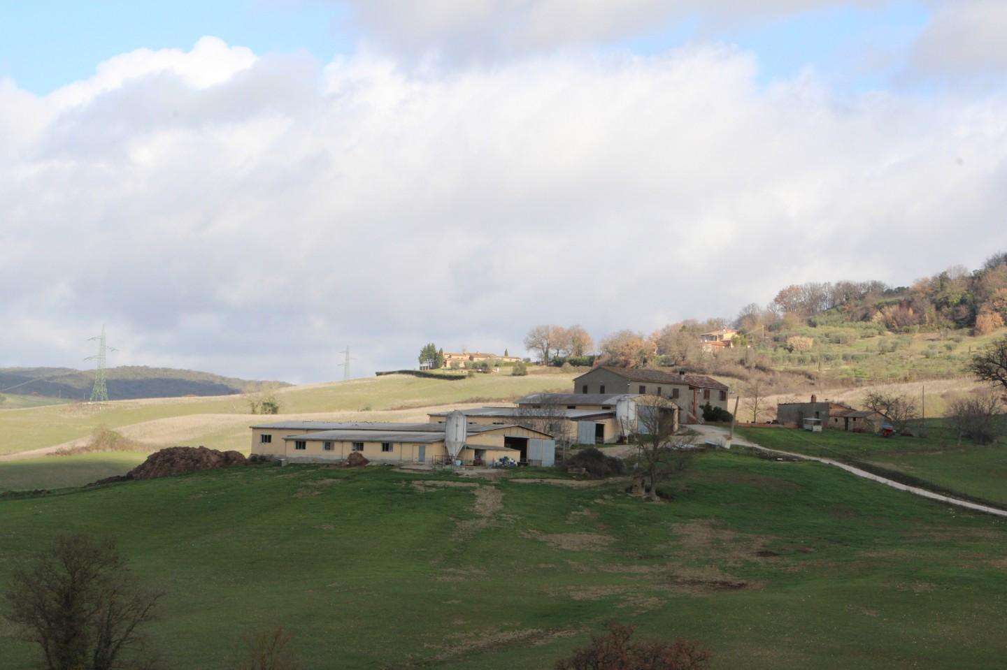 Azienda agricola Casole d 'Elsa SI,, Casole d'Elsa