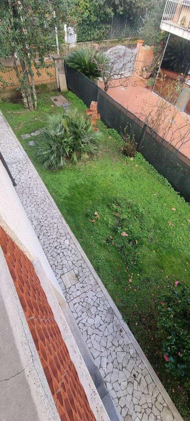 immagine annuncio 10 di 14