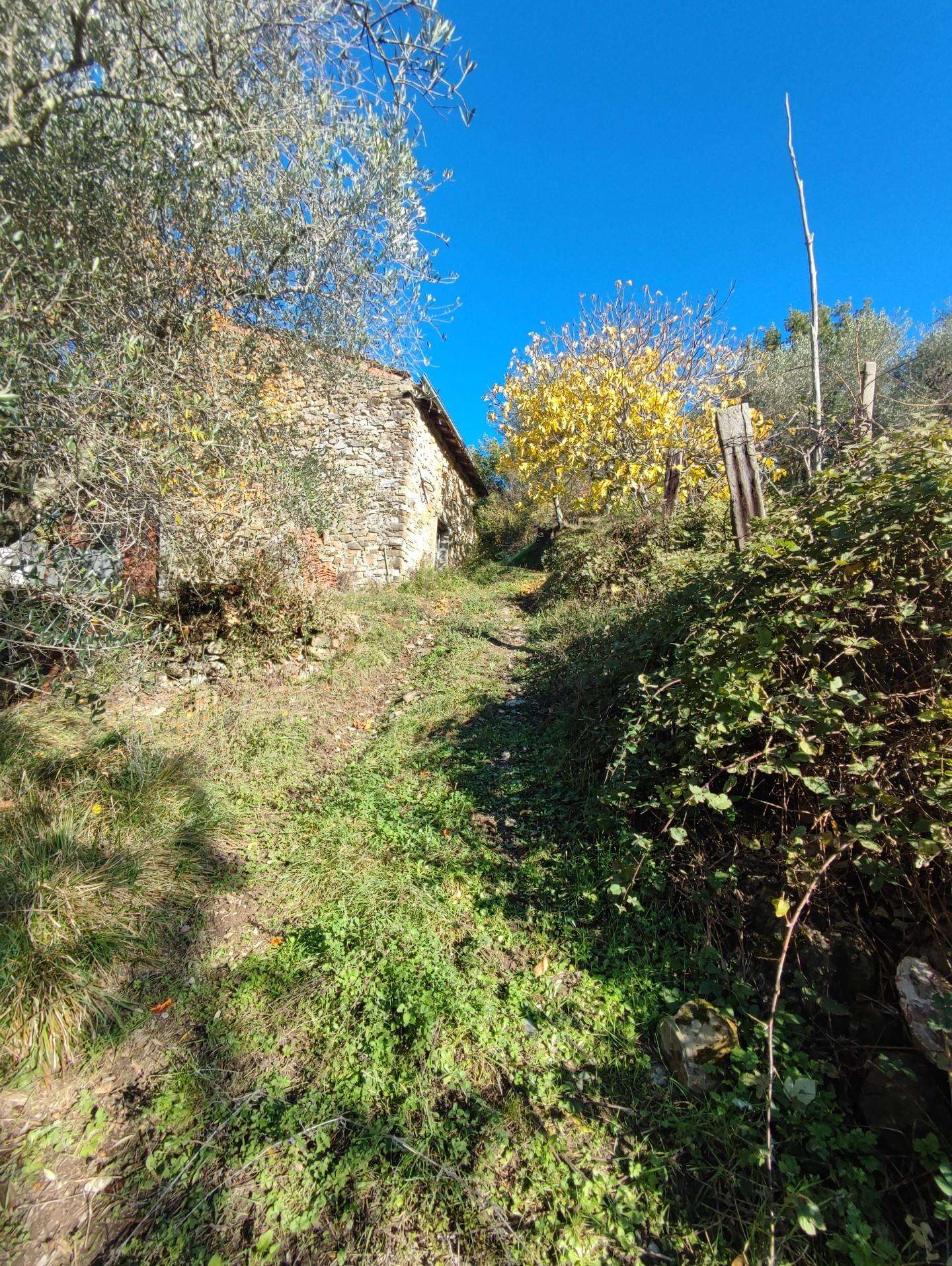  - foto 18