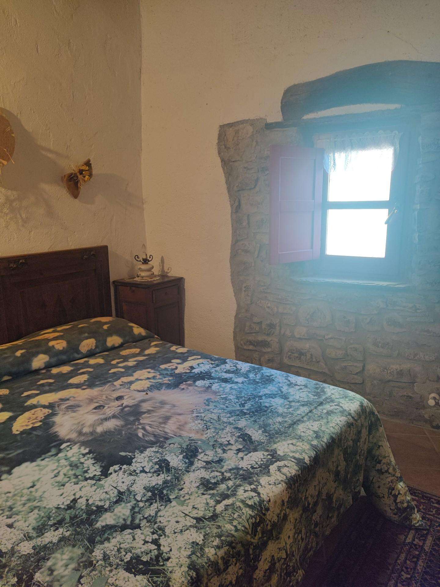  - foto 64