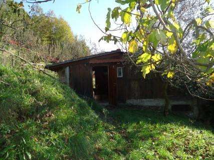  - foto 23