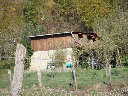  - foto 31