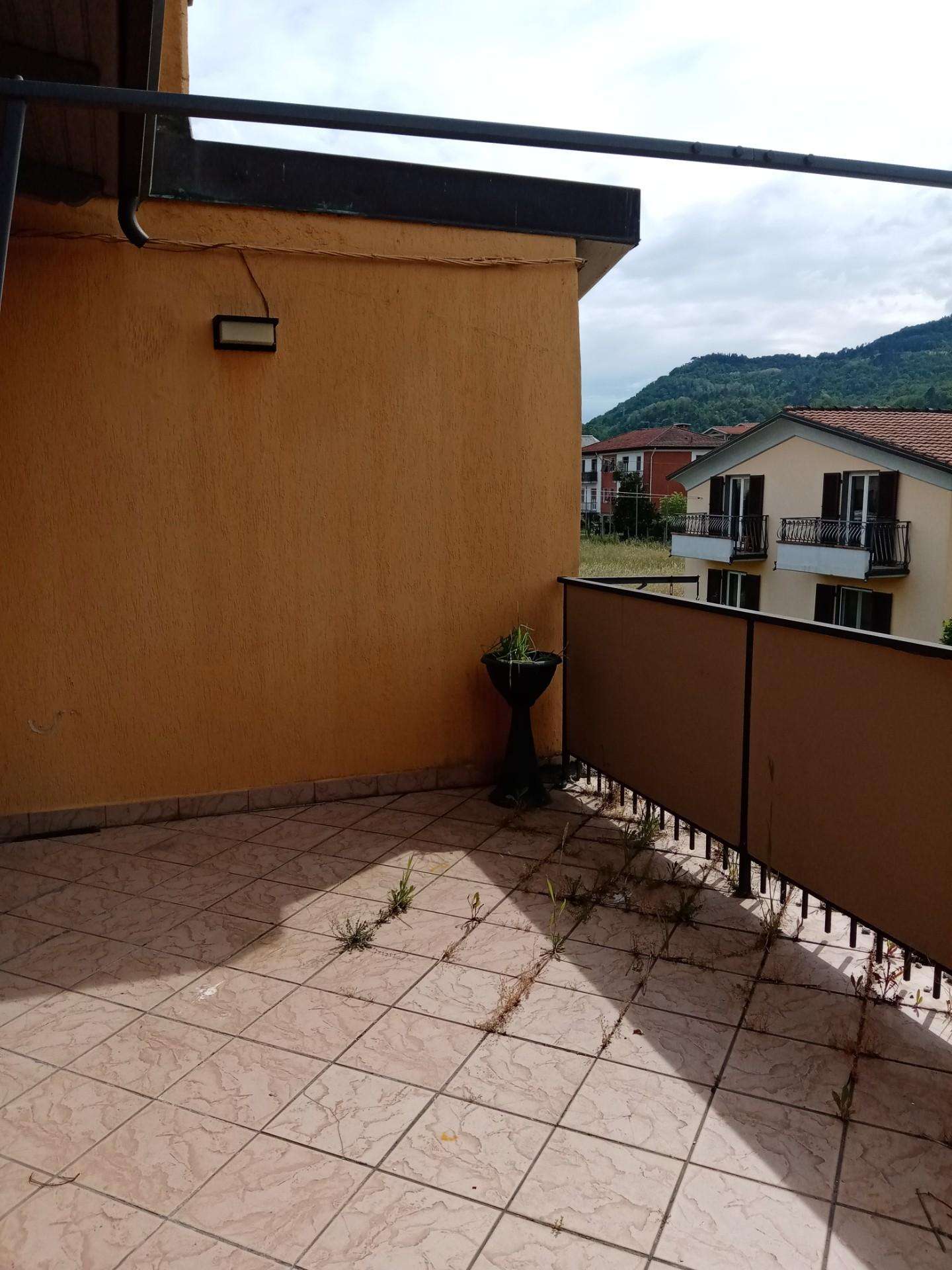 immagine annuncio 11 di 14