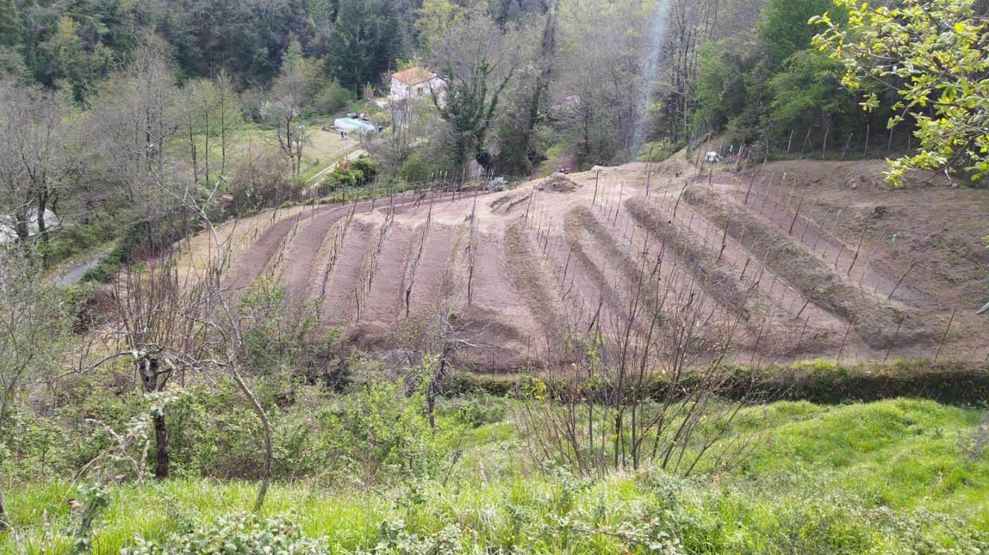 Terreno agricolo in Vendita a Aulla Bibola