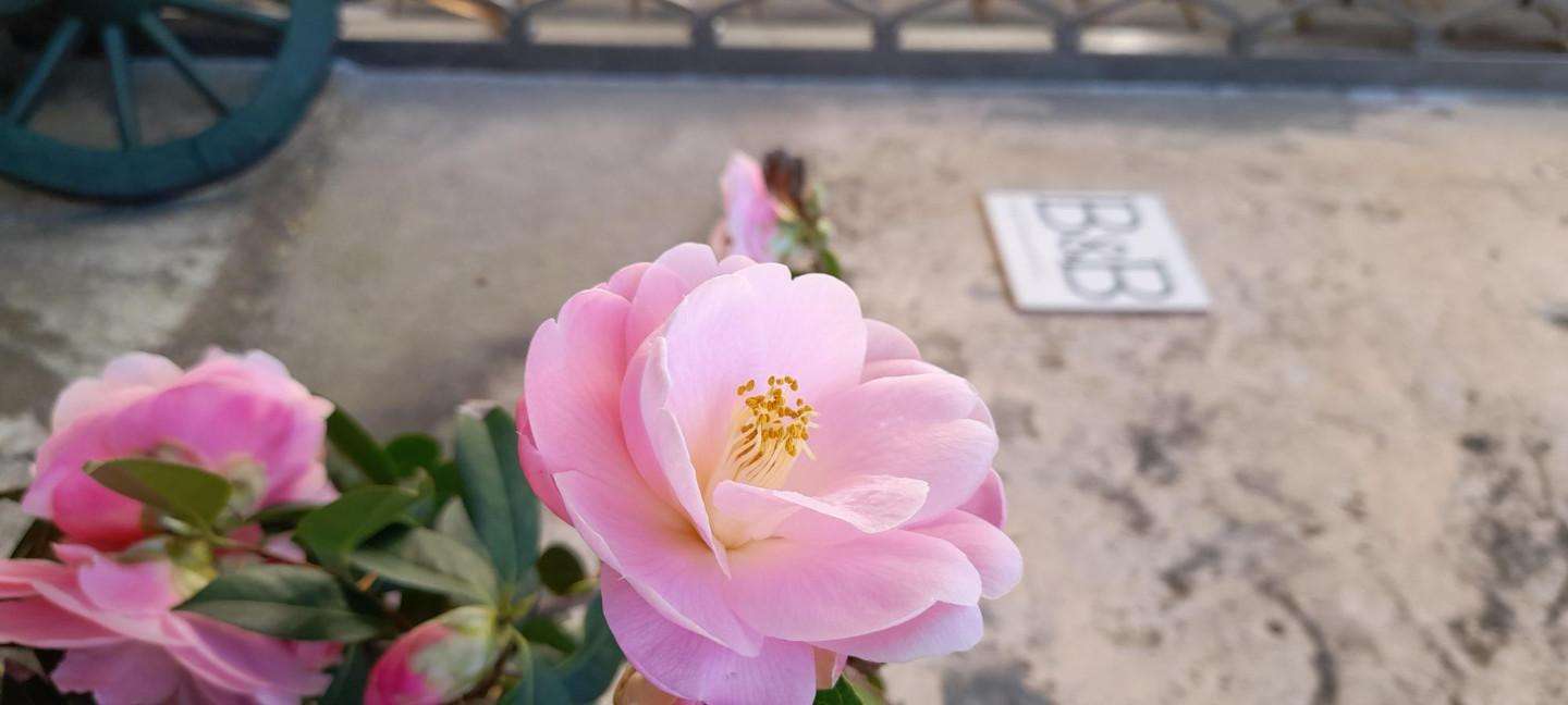  - foto 8