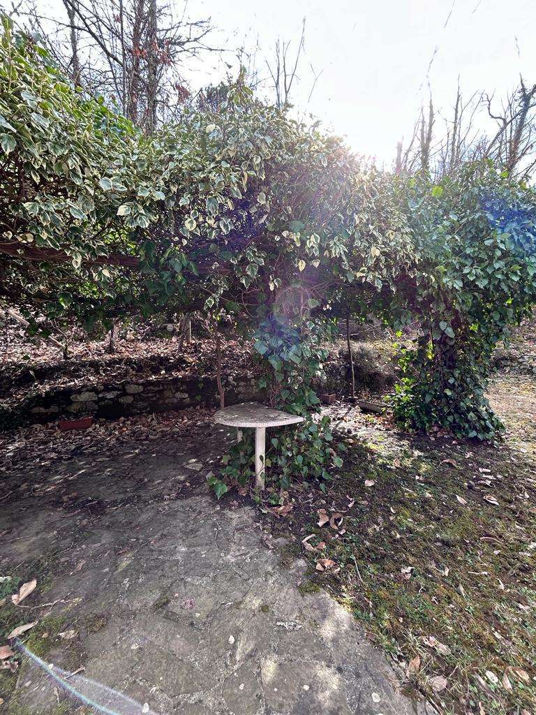  - foto 31