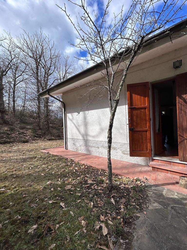  - foto 34