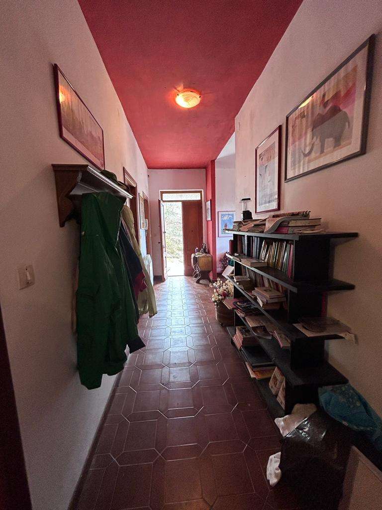  - foto 48