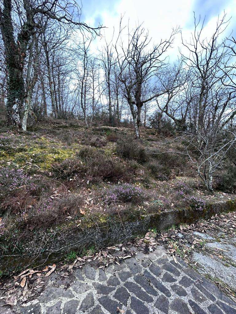  - foto 57