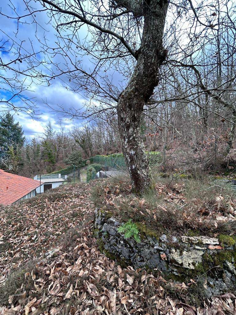  - foto 68