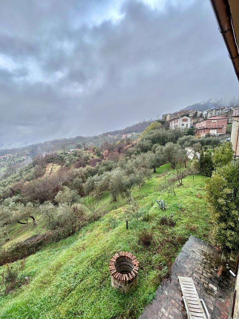  - foto 38